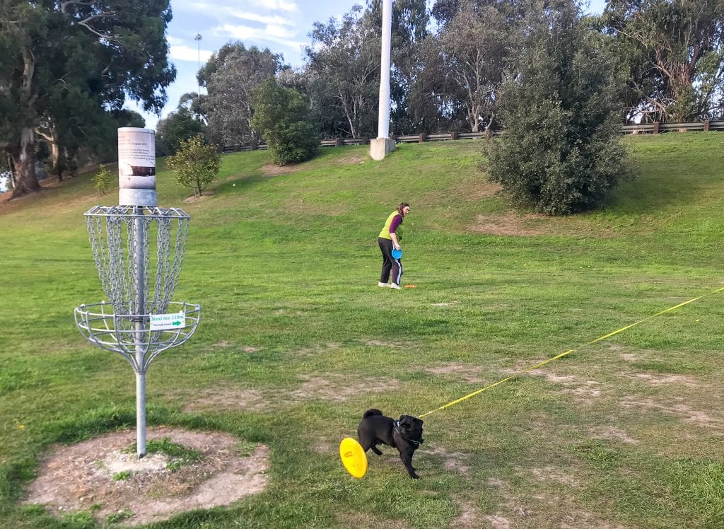 one of the best things to do in Timaru is playing disc golf at cbay 