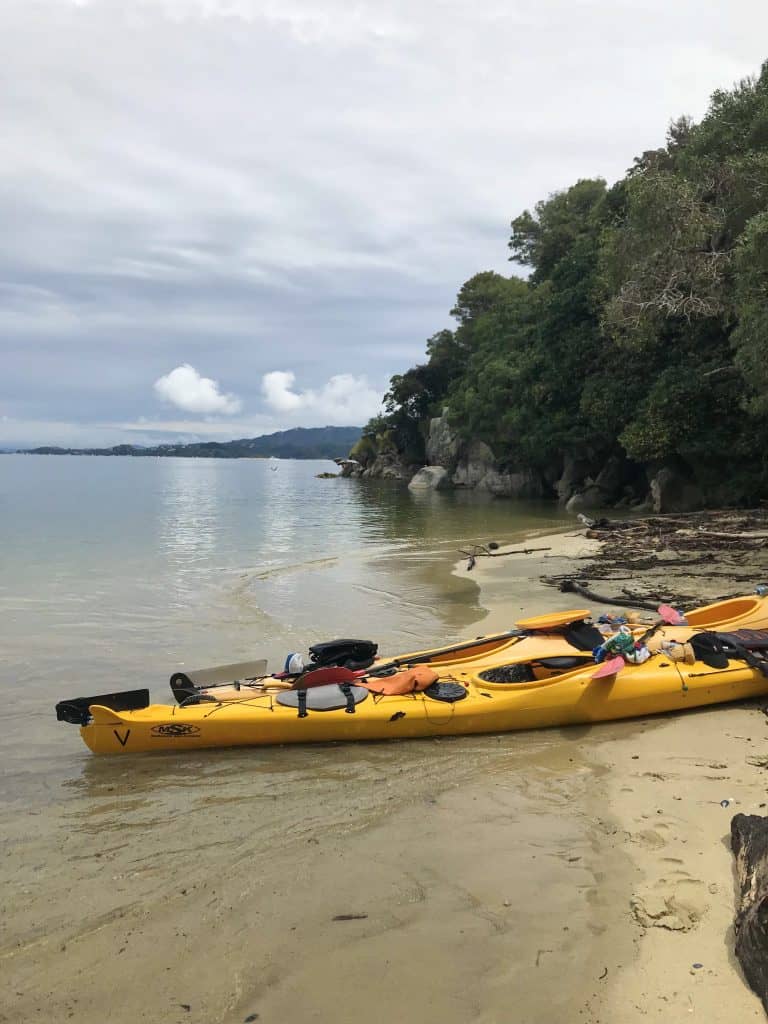 freedom kayaking in abel tasman with marahau sea kayaks