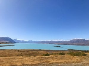 a photo from the peninsula walk a awesome option when looking for what to do in lake tekapo