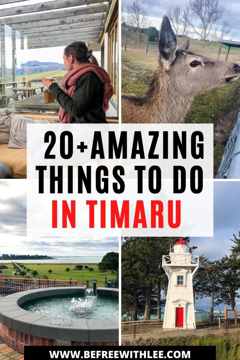 things to do in Timaru 1 Befreewithlee